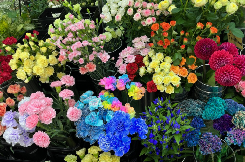 Garden M